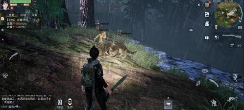 黎明觉醒最新爆料四月,四月新篇章，神秘爆料揭示未来走向  第3张